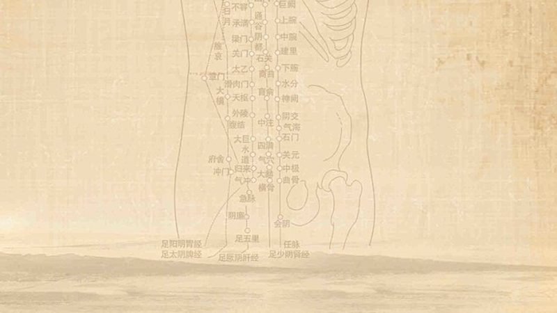 治未病食疗套餐主要分为以下几类：